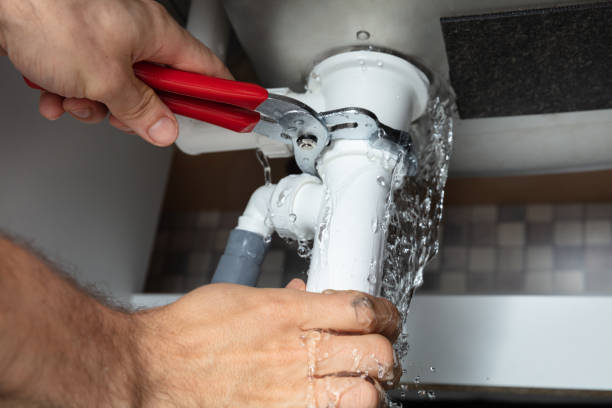 Best Water damage restoration near me  in Pitola, CA