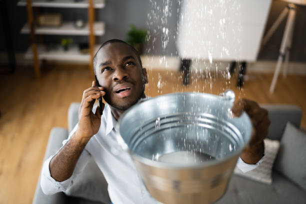 Best 24-hour water damage restoration  in Pitola, CA