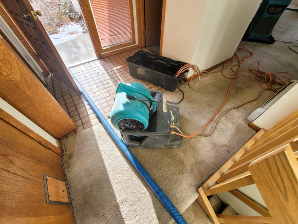 Best Flooded house restoration  in Pitola, CA
