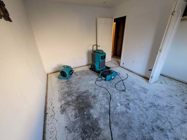 Best Ceiling water damage repair  in Pitola, CA