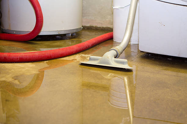 Best Water damage contractors near me  in Pitola, CA
