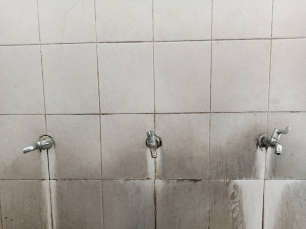 Best Residential water damage restoration  in Pitola, CA