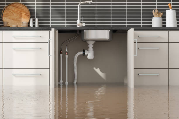 Best Basement water damage restoration  in Pitola, CA