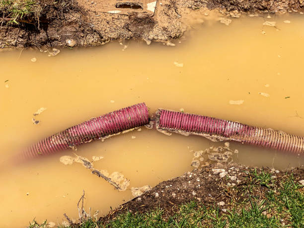 Best Local water damage restoration  in Pitola, CA