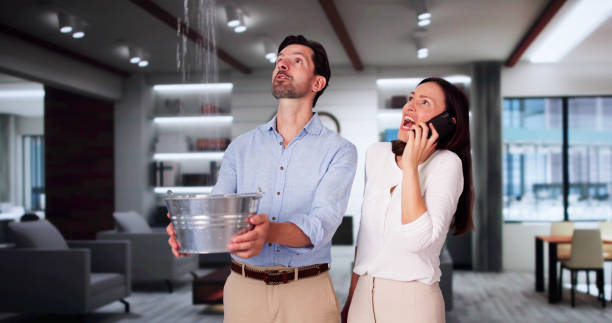 Best Professional water damage repair  in Pitola, CA