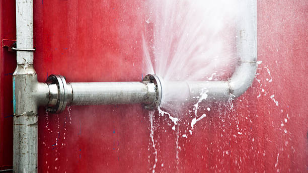 Best 24/7 water damage repair  in Pitola, CA